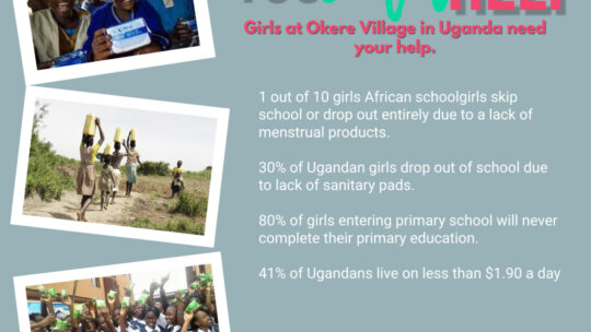 Africa400 Calls for Assistance for School Girls in Okere Village, Uganda