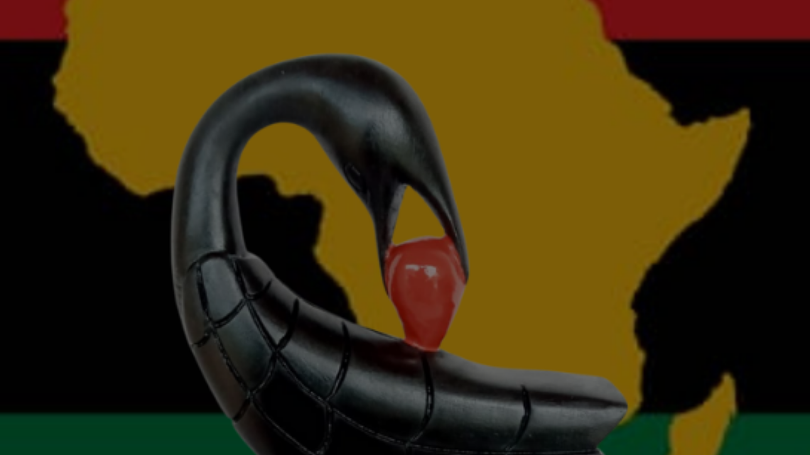 Is Ghana Blocking Historic Diasporan Afrikans from Citizenship?