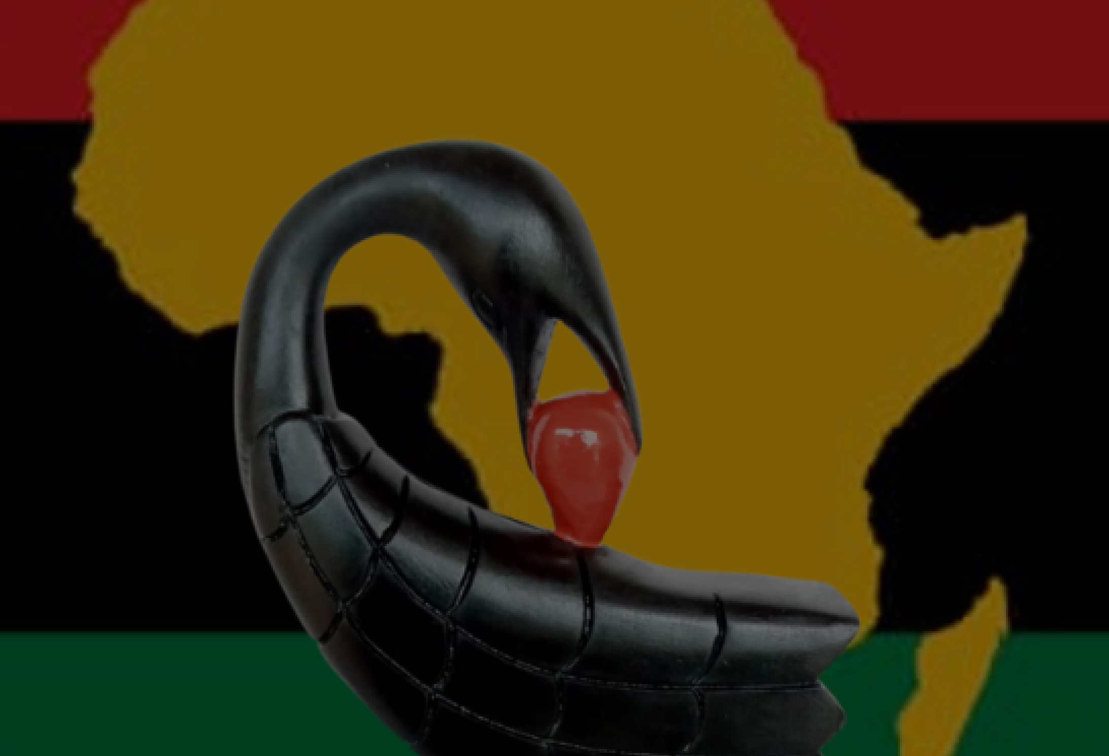 Is Ghana Blocking Historic Diasporan Afrikans from Citizenship?